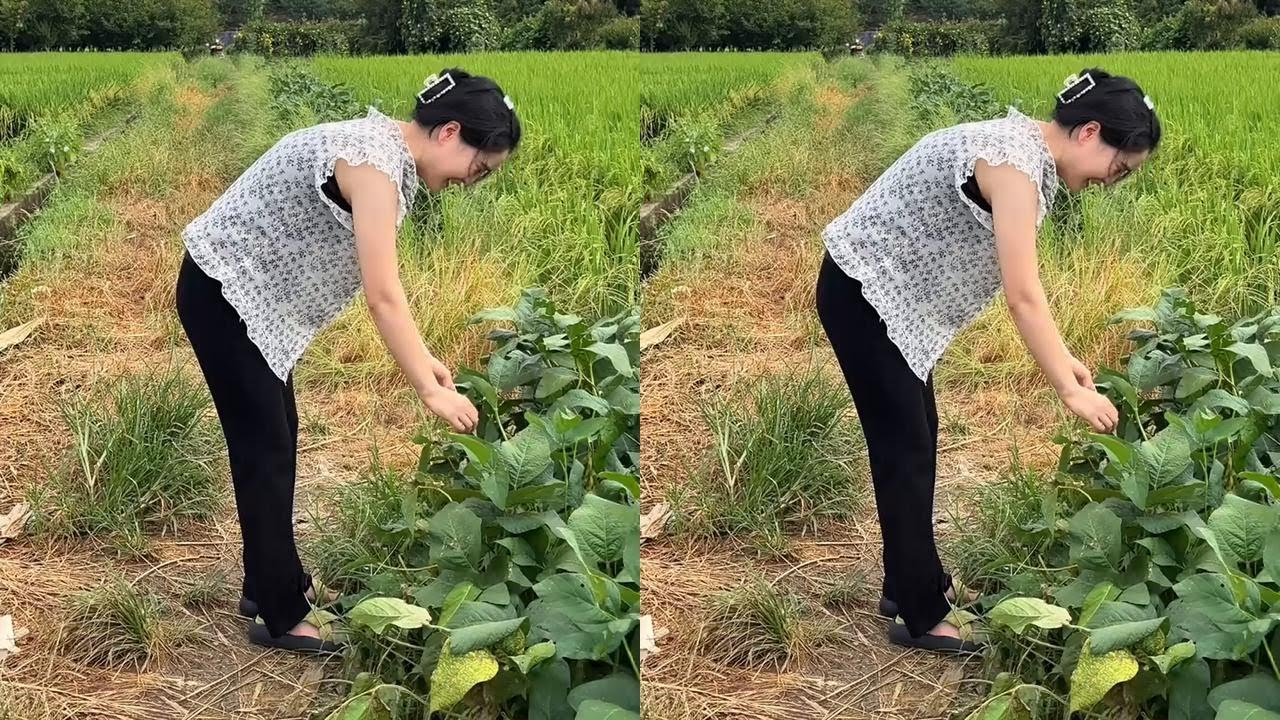 娟子的幸福生活 120603