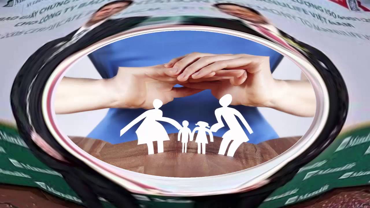 insurance explained 2016 sk,