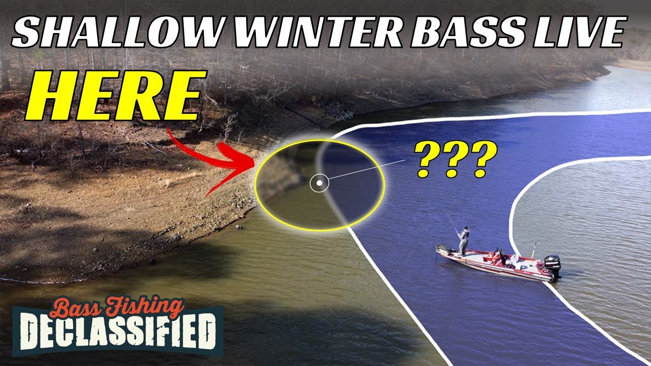This Shallow Water Area Holds BIG BASS All Winter Long