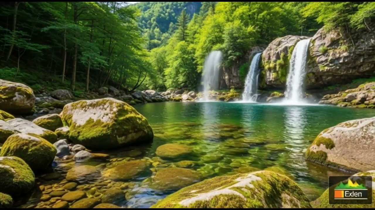 The beauty of the mountain forest is reflected in the water flowing down from the mountain stress