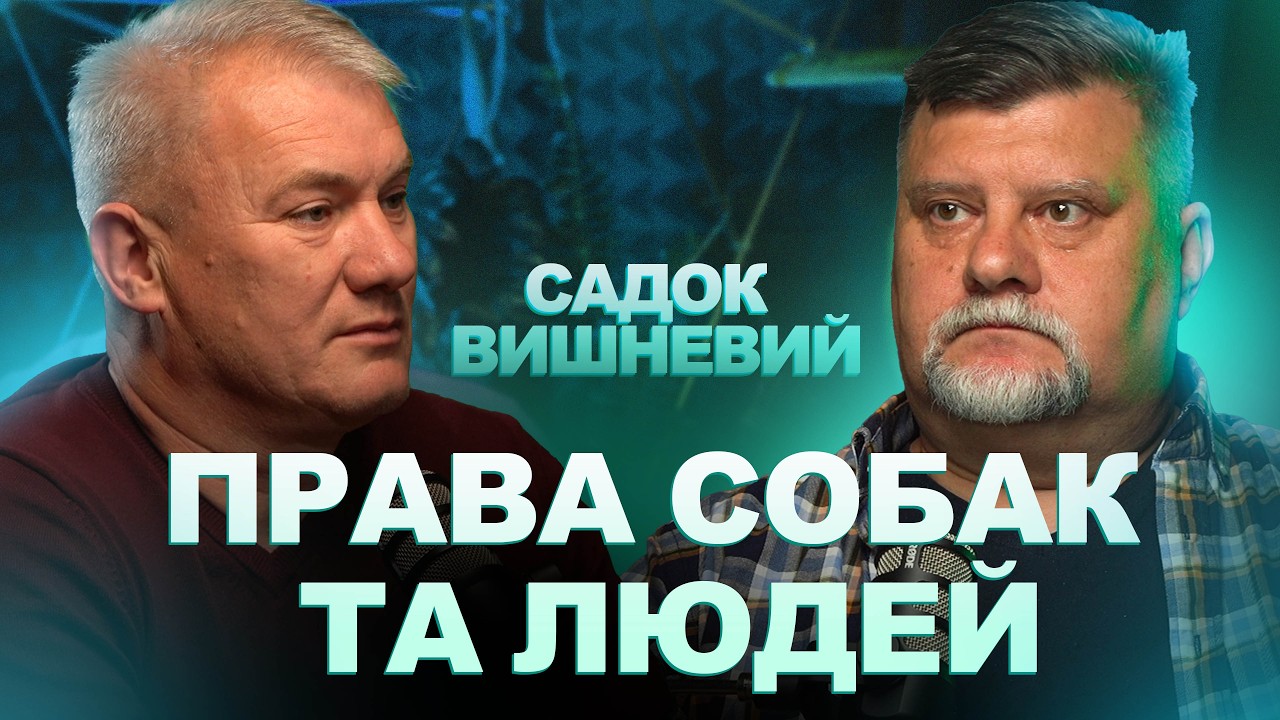 Патріотизм з-під палки? Як ми втрачаємо здоровий глузд під час війни!