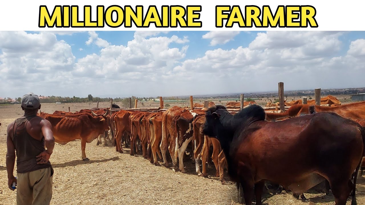 Meet Kenyan Young MILLIONAIRE Farmer! | Big Inspiration 2022