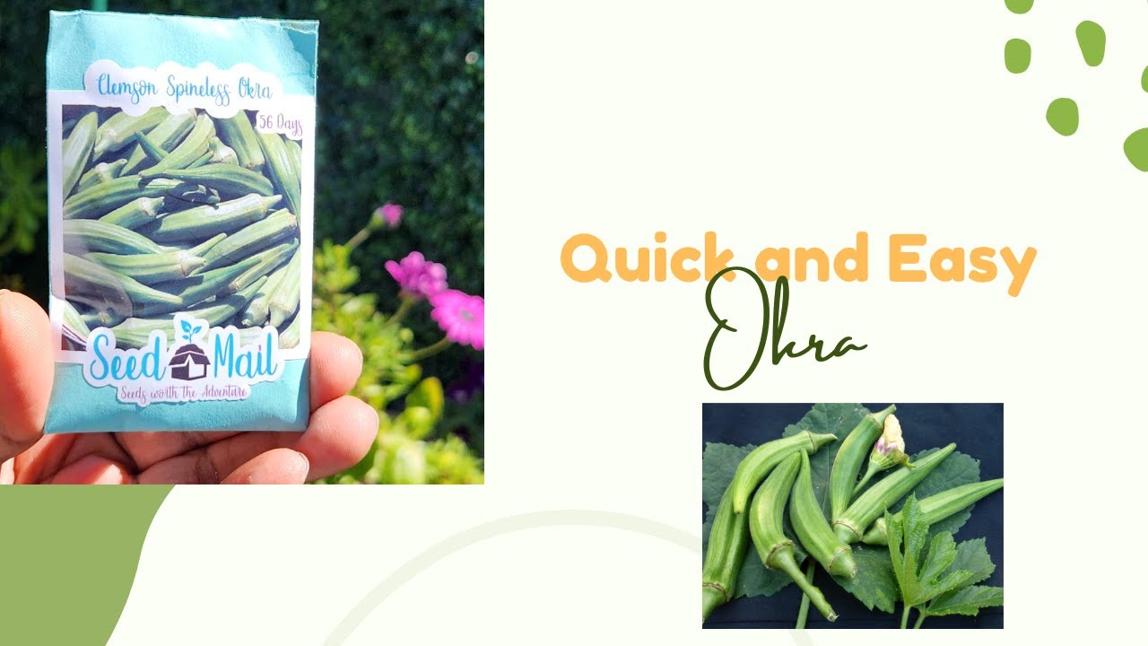 2023 Spring Garden Planting |  Episode 4 - Clemson Spineless Okra