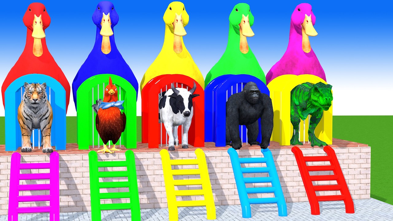 Long Slide Game With Cow Elephant Gorilla Hippopotamus Tiger 3d Animal Game Funny 3d Animals