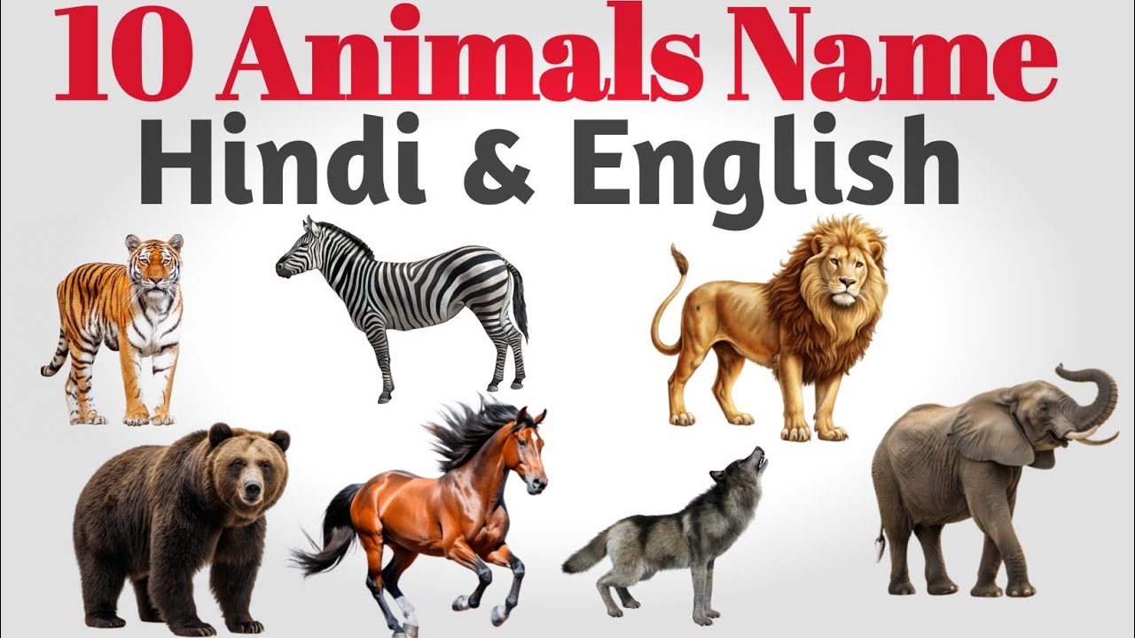 10 Animals Name in Hindi & English | Animals Name for Kids | Kids Learning Video