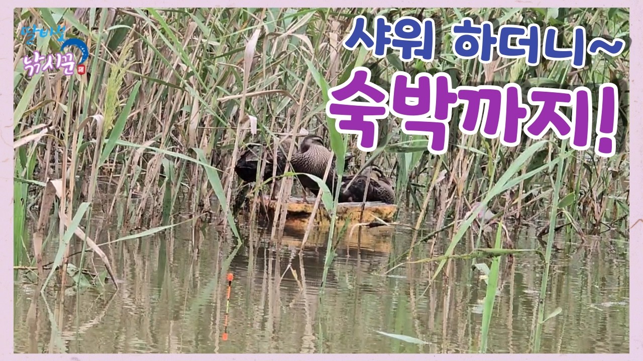 오름수위에 속은 내림수위 낚시~ 보트는 공중부양까지 #서산 #고남지 #폭우 #오름수위 #육초밭 #하드코어
