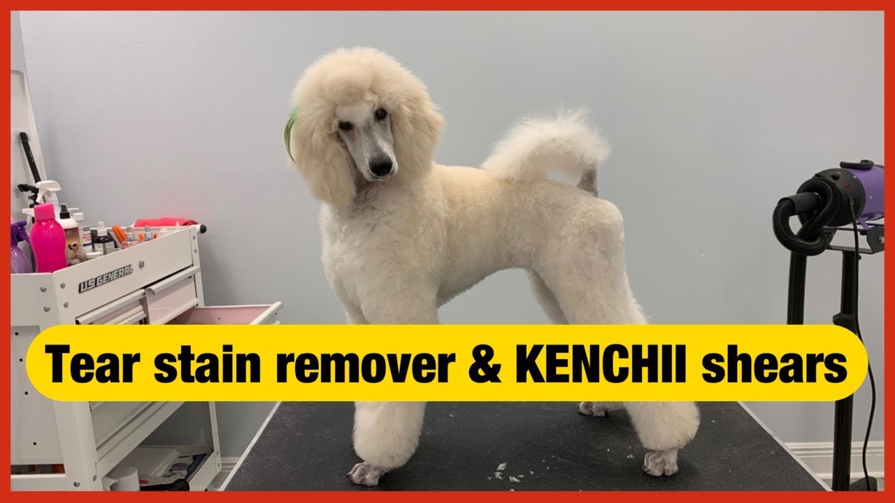 ✂️🐾Kenchii pet shears unboxing and tear stain removal gel✂️🐾
