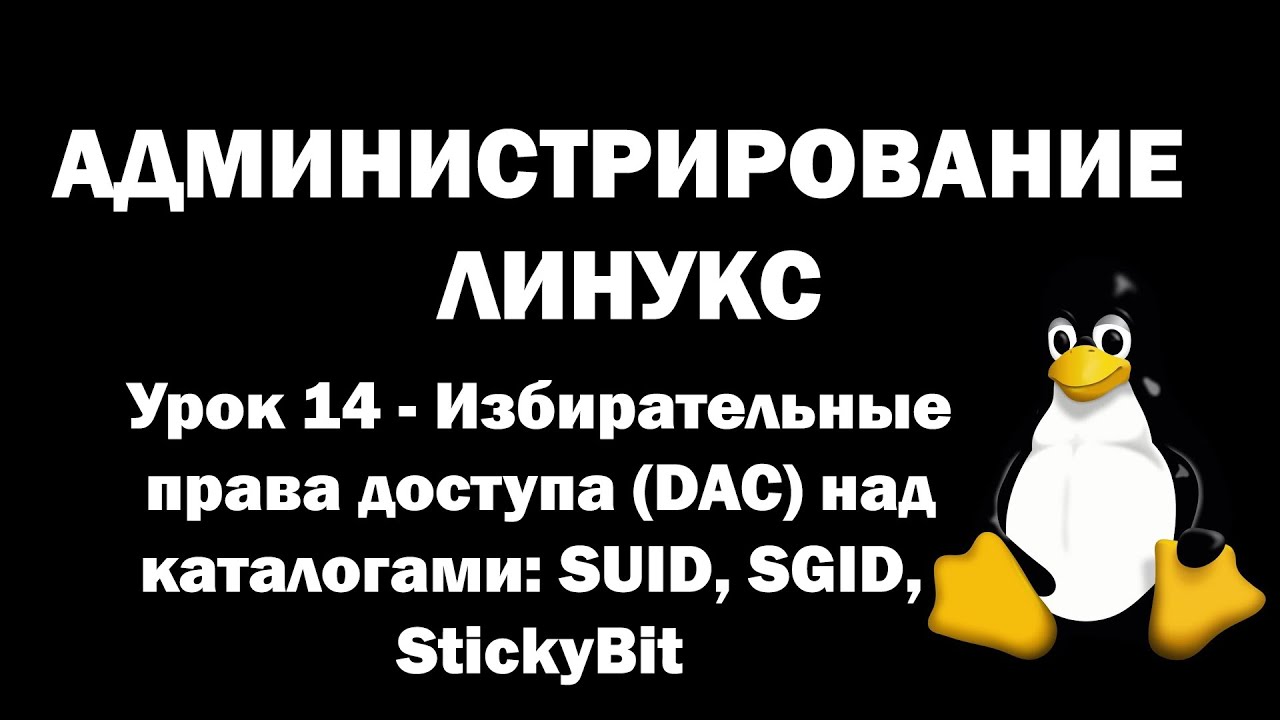 Администрирование Линукс (Linux) - Урок 14 - Избирательные права доступа (DAC) над каталогами