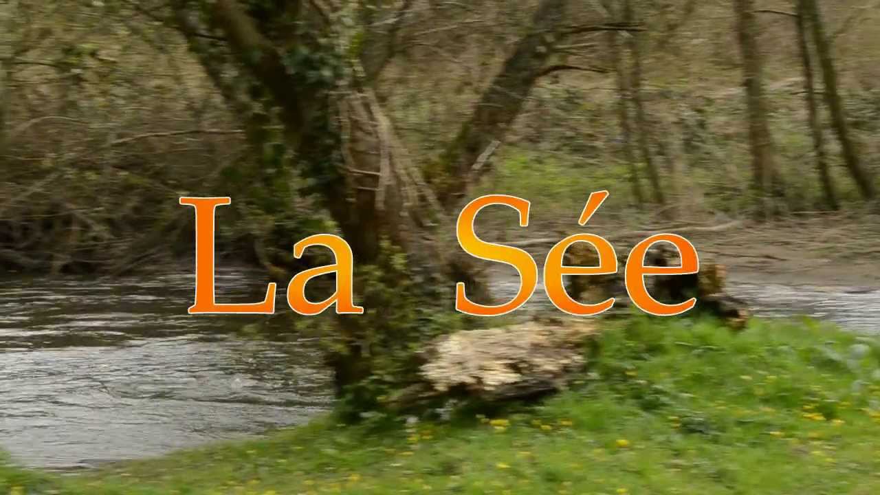 Pêche de la truite et des grands migrateurs sur la Sée et la Sélune. (50)