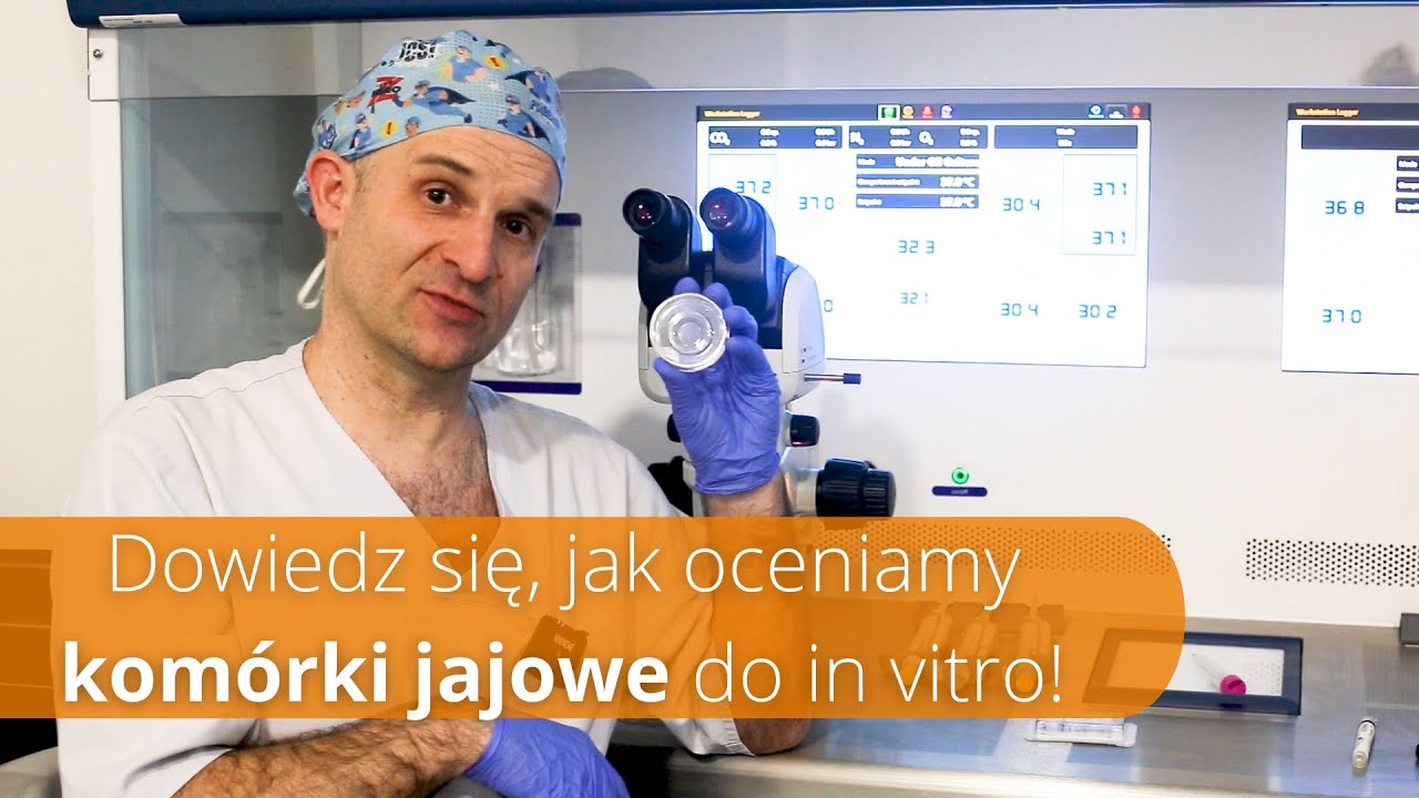 Embriologia #3 - Kom&oacute;rka jajowa do zapłodnienia in vitro