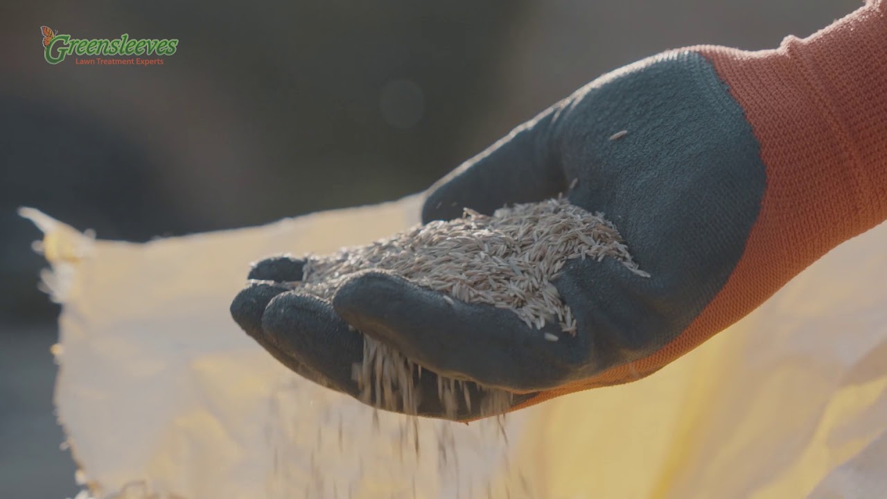 Watering Fresh Seed: How Often, How Much and Why?