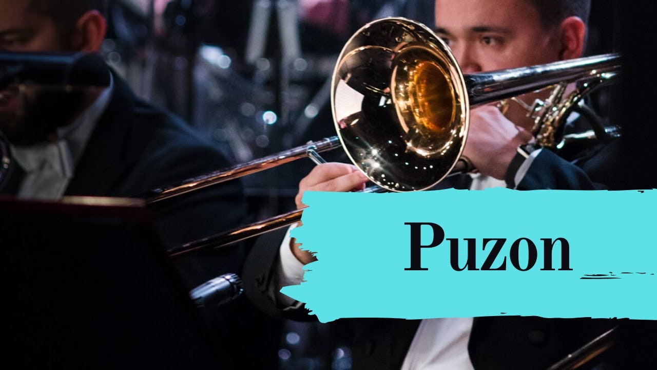 Puzon - #TOSedukuje