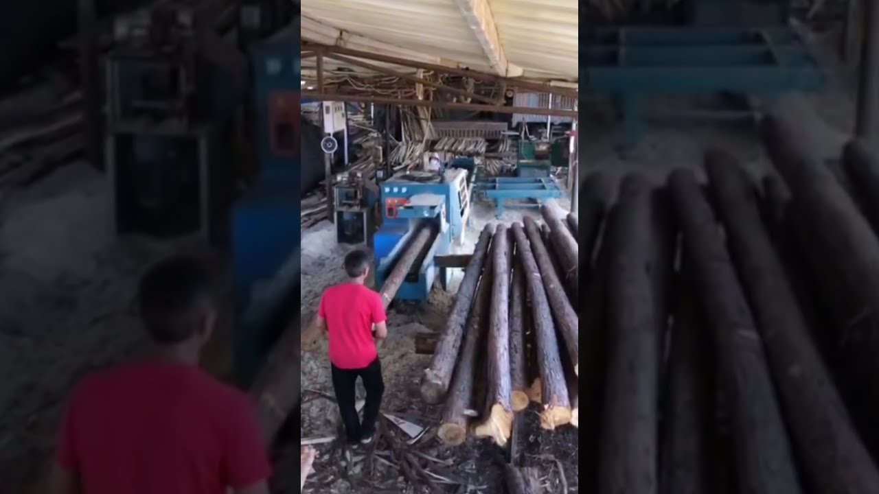 Cutting Round Log Multi Rip Saw Machine
