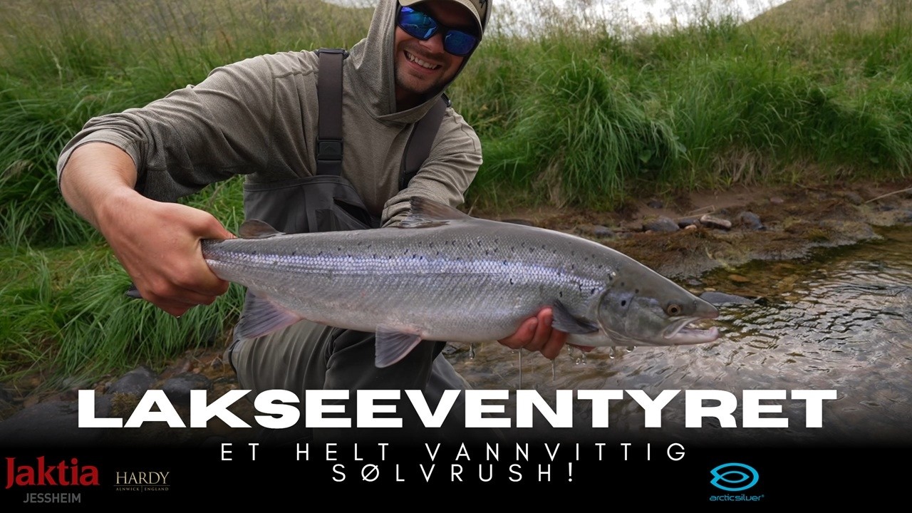 Lakseeventyret -  et helt vannvittig s&oslash;lvrush! (t&oslash;rrfluefiske etter laks i sm&aring; elver)