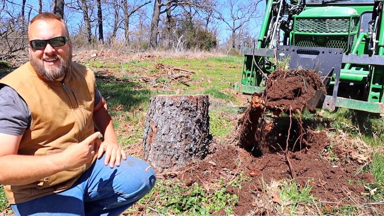 Testing the Limits of this Stump bucket - HD Ripping Teeth Upgrade