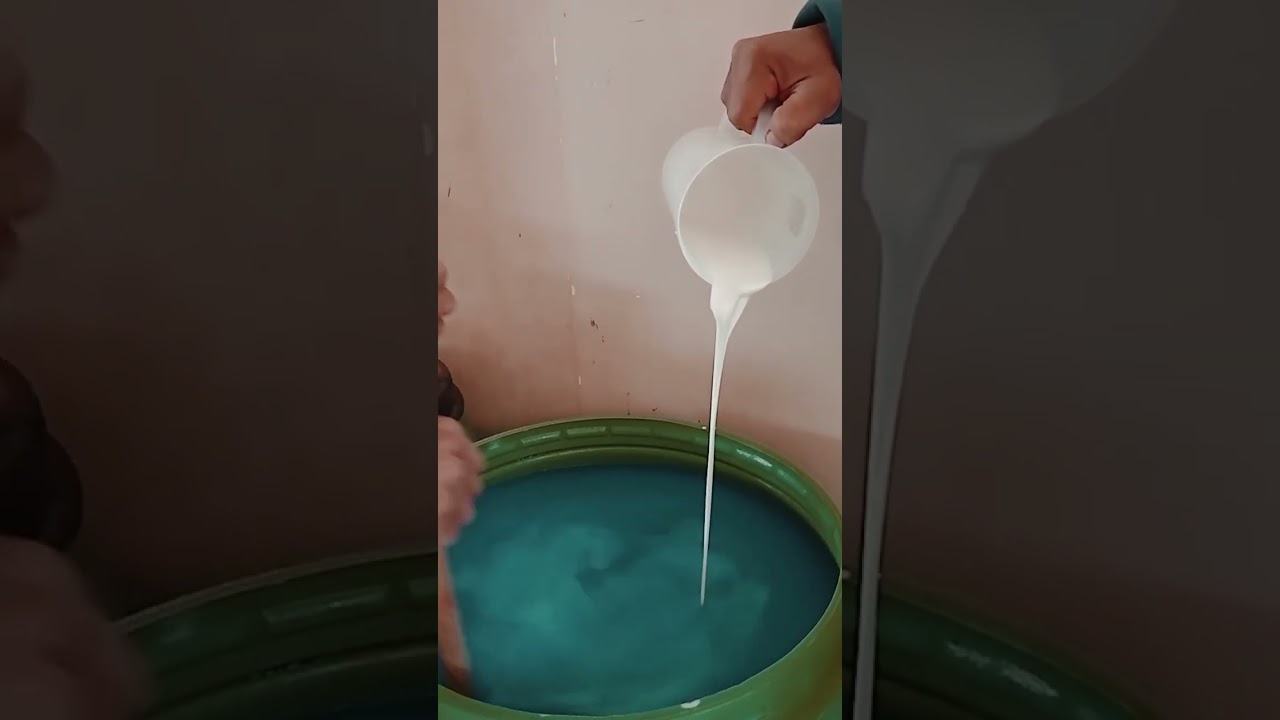 ١٥ ديسمبر ٢٠٢٥