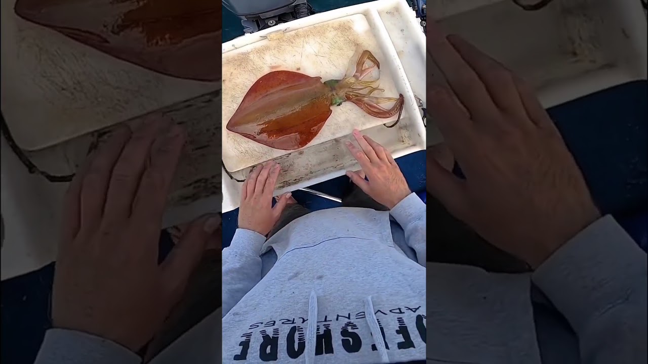 One Chop Calamari