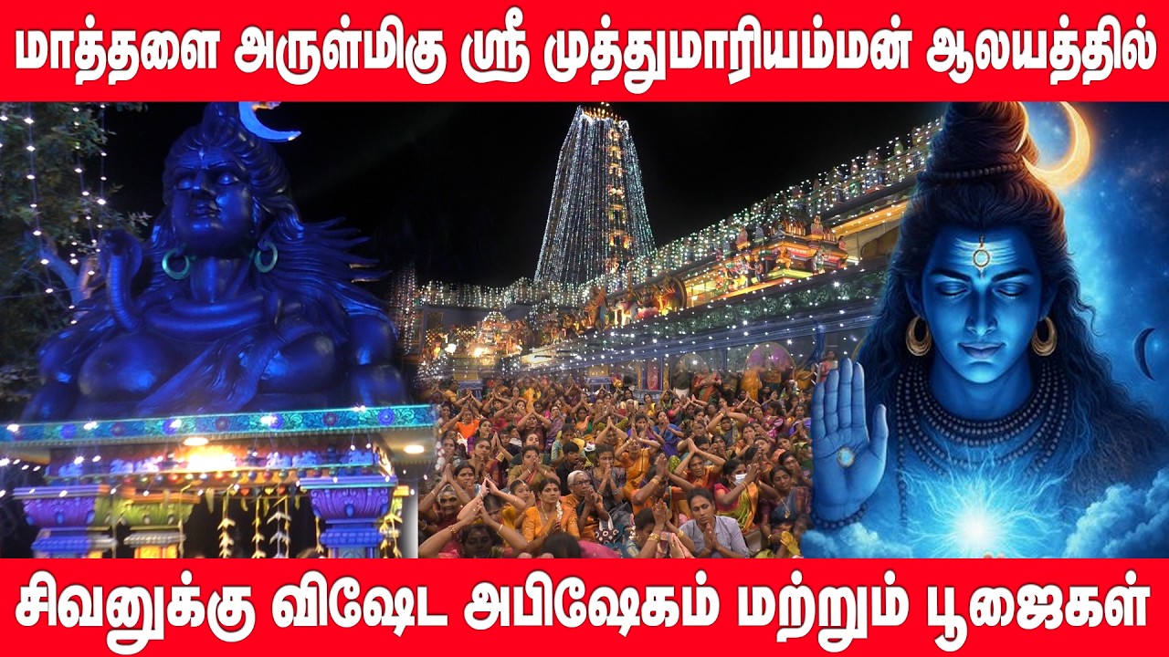 மாத்தளை அருள்மிகு ஸ்ரீ முத்துமாரியம்மன் தேவஸ்தானத்தில் சிவனுக்கு விஷேட அபிஷேகம் | maha shivaratri