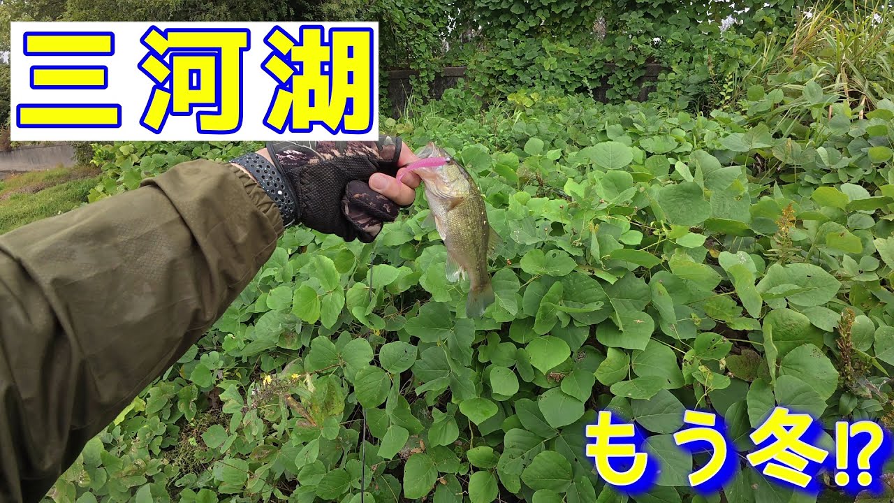 バス釣り大苦戦【三河湖と】