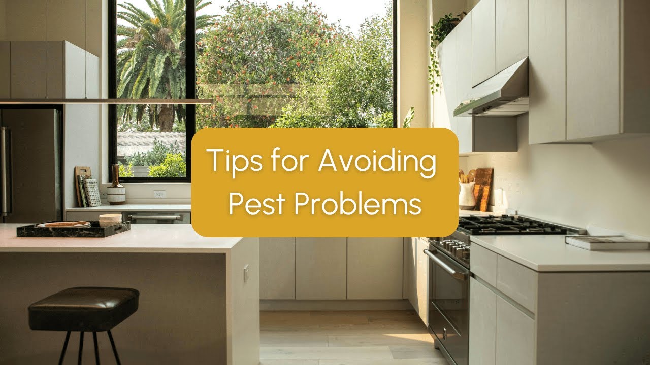 7 Smart Pest Prevention Tips for Toronto Homeowners | Keep Your Home Pest-Free