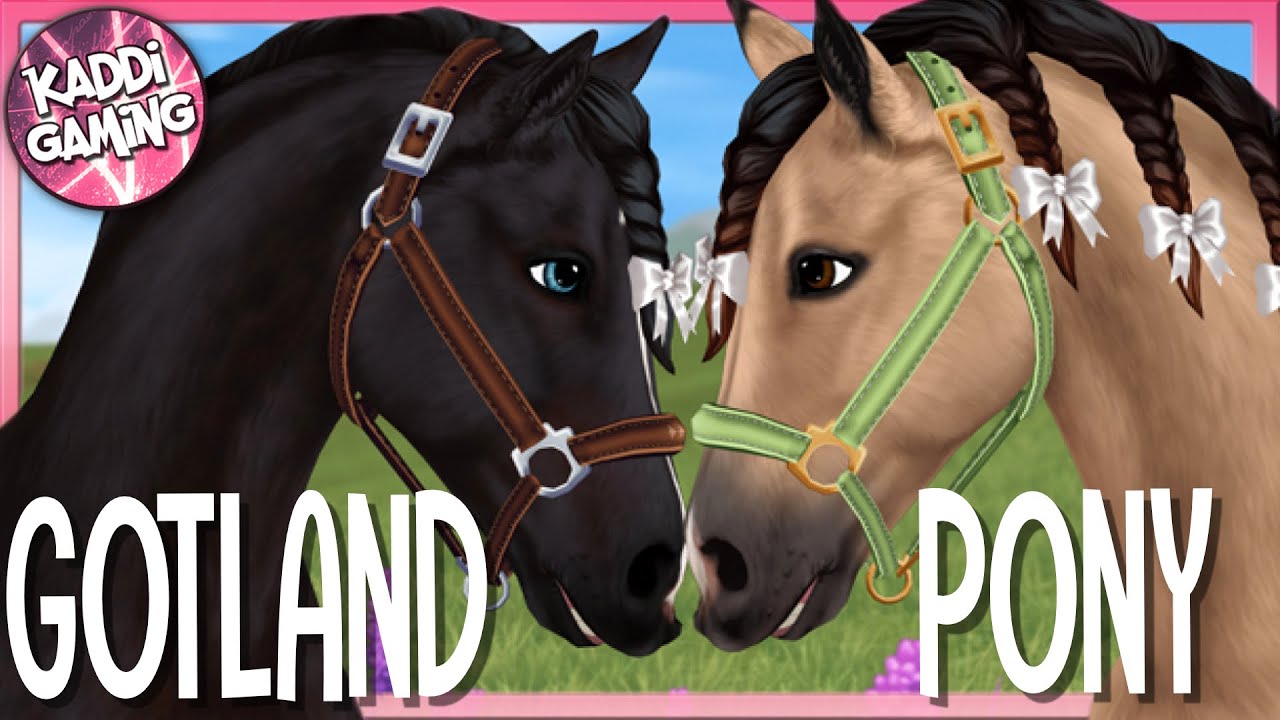 Das GOTLAND PONY ist da!! ~ PFERDEKAUF + erster Eindruck 🐴 STAR STABLE ONLINE #479