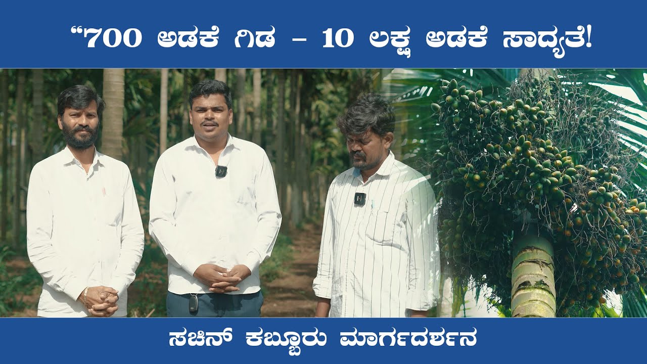 “700 ಗಿಡ = 10 ಲಕ್ಷ ಅಡಕೆ?! 😲”