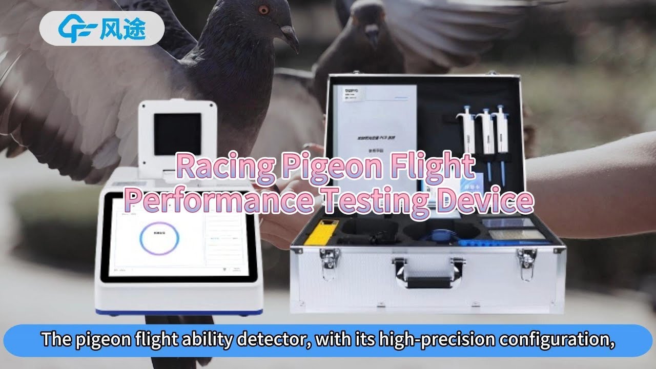 🕊Racing Pigeon Flight Performance Testing Device