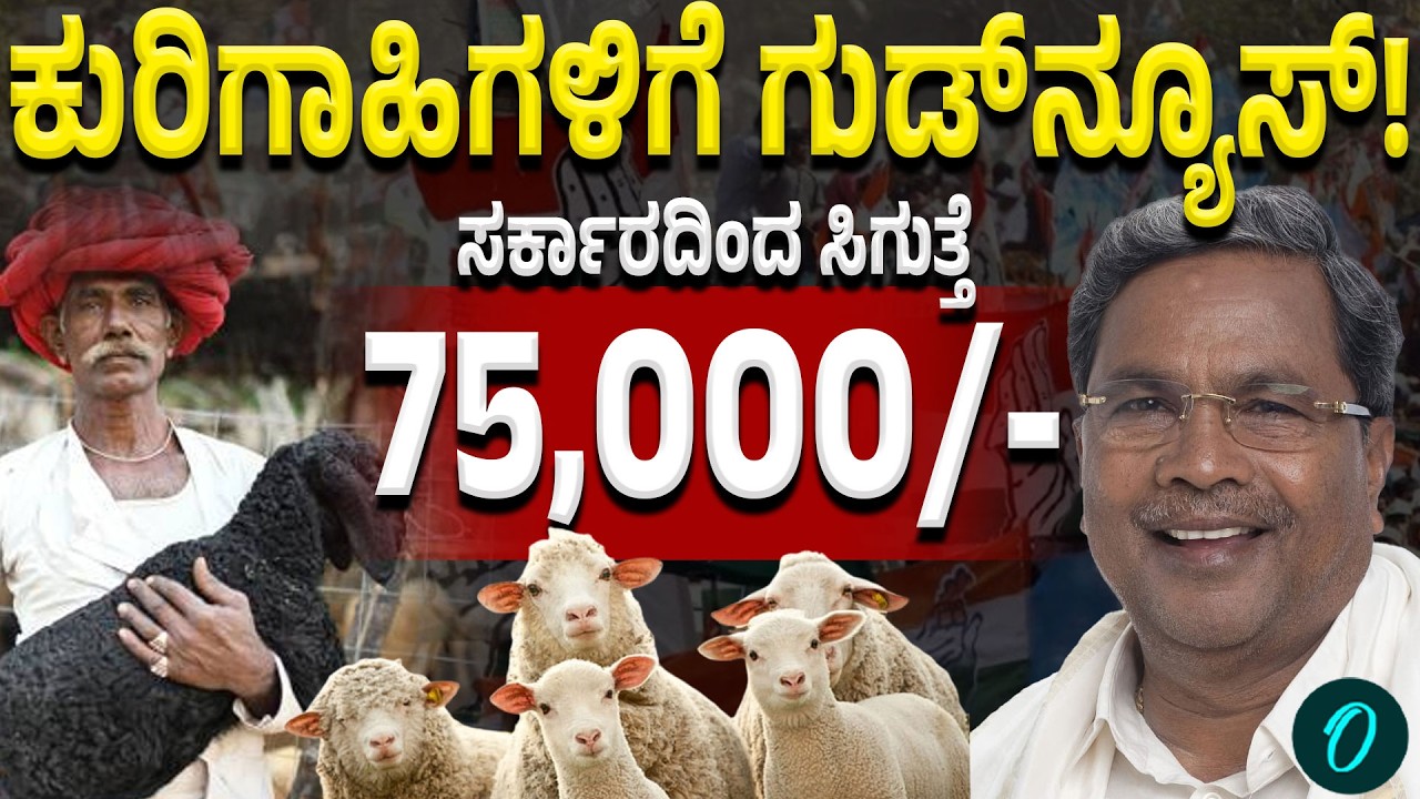 Sheep Shed Subsidy: ಕರ್ನಾಟಕದ ಕುರಿಗಾರರಿಗೆ ಬಂಪರ್‌ ಲಾಟ್ರಿ!