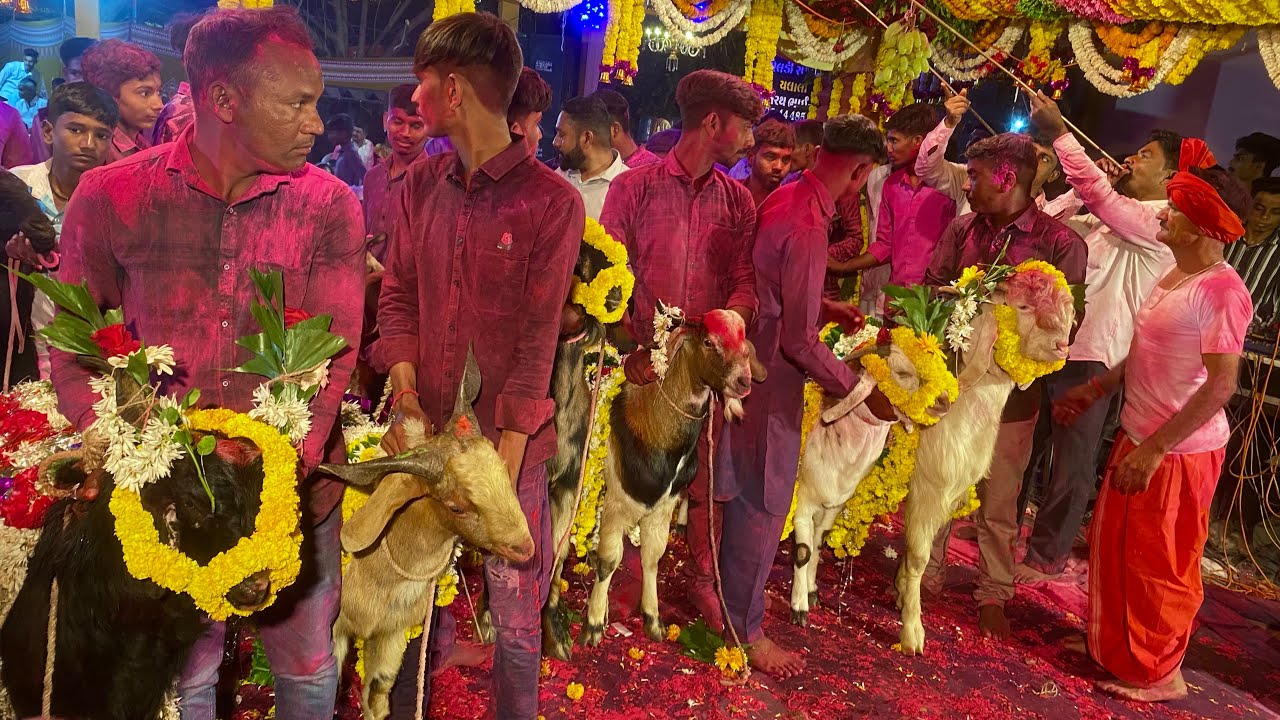 પ્રવિણ જાગર T2 ઢોલી ની મોજ || Parvin Jagar T2 Dholi Ni Moj