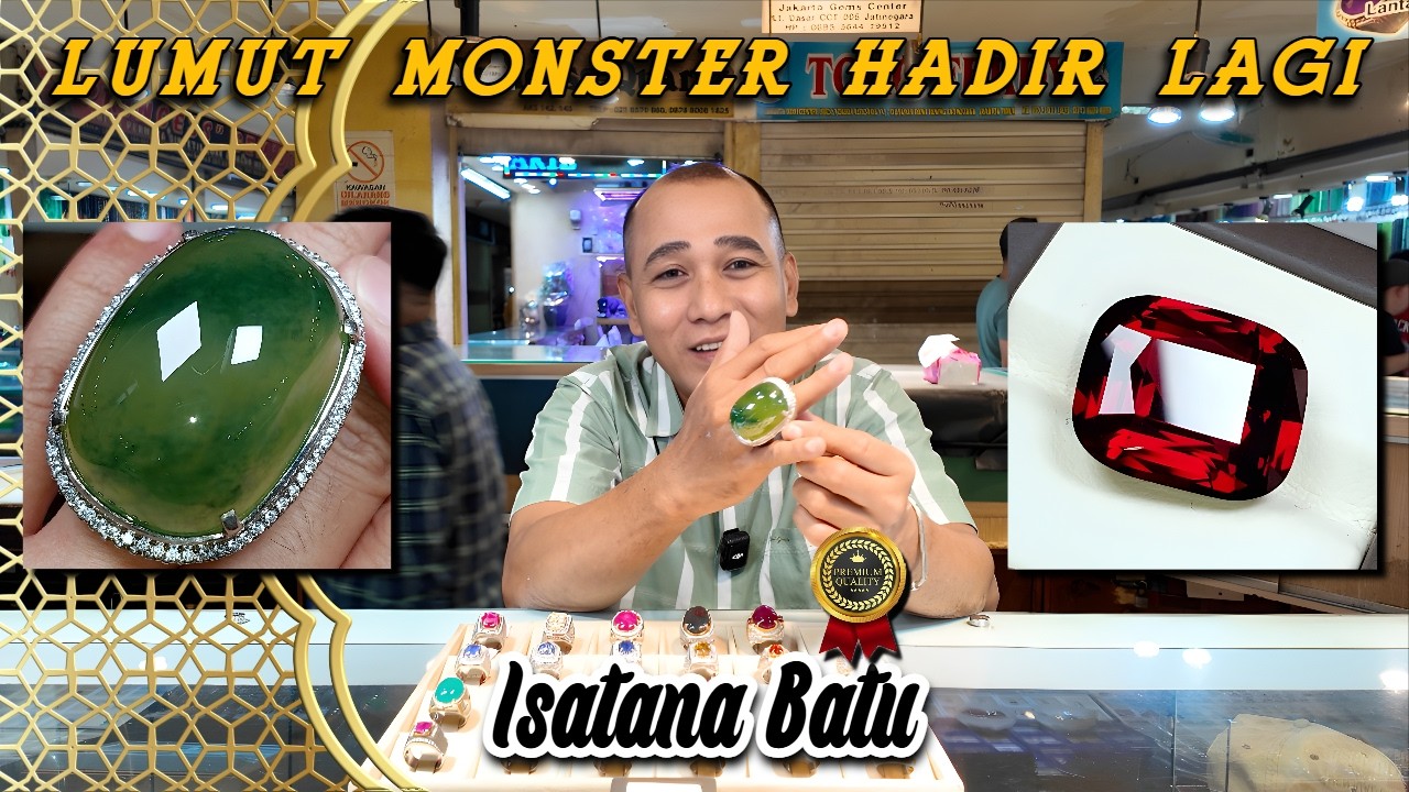 Shock❗Lumut Monster Segede Ini — Kolektor Sultan Pasti Tahu ( Bang IB )