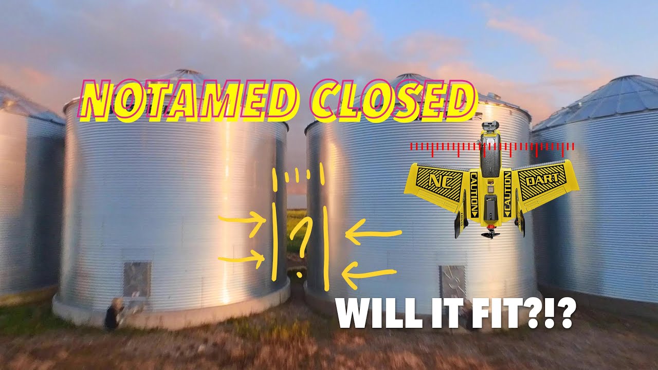 Zohd Dart 250g - The Bin Challenge