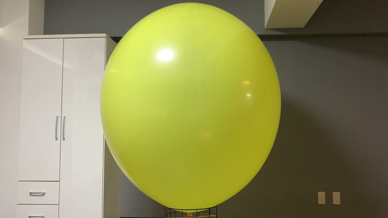 big balloon blow to pop