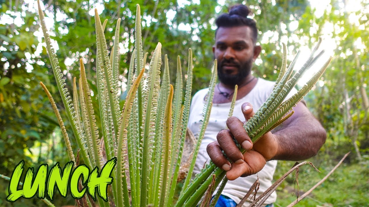 Cycad Leaves Curry In Village Style - Village cooking videos | Madu koku , Madu dalu curry