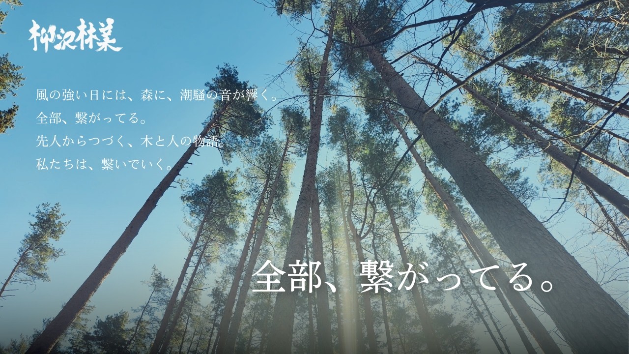 【100年後も森と生きる】受け継がれていく、人と木の物語。/柳沢林業が香りに込めた想い。
