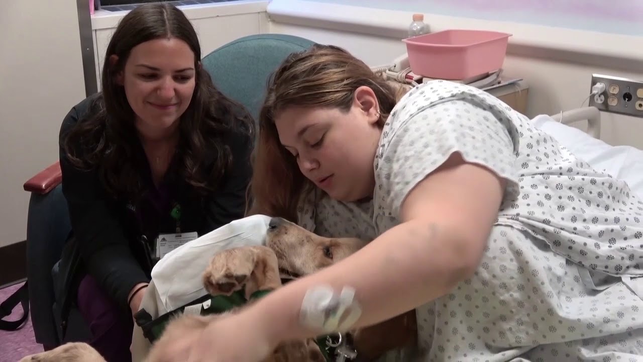Professor Meets Patients