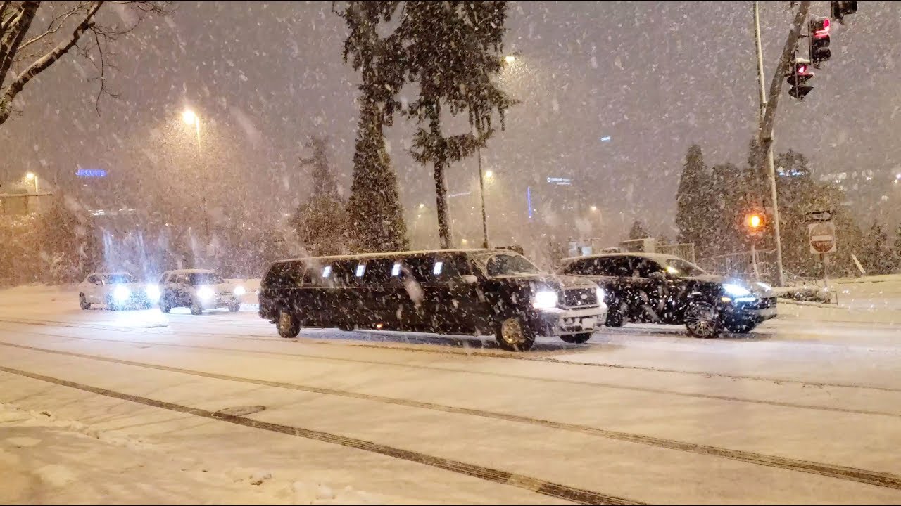 Seattle Snow 2019 Bellevue Blizzard Rare Winter Storm Cripples Washington Whiteout Conditions 4K UHD