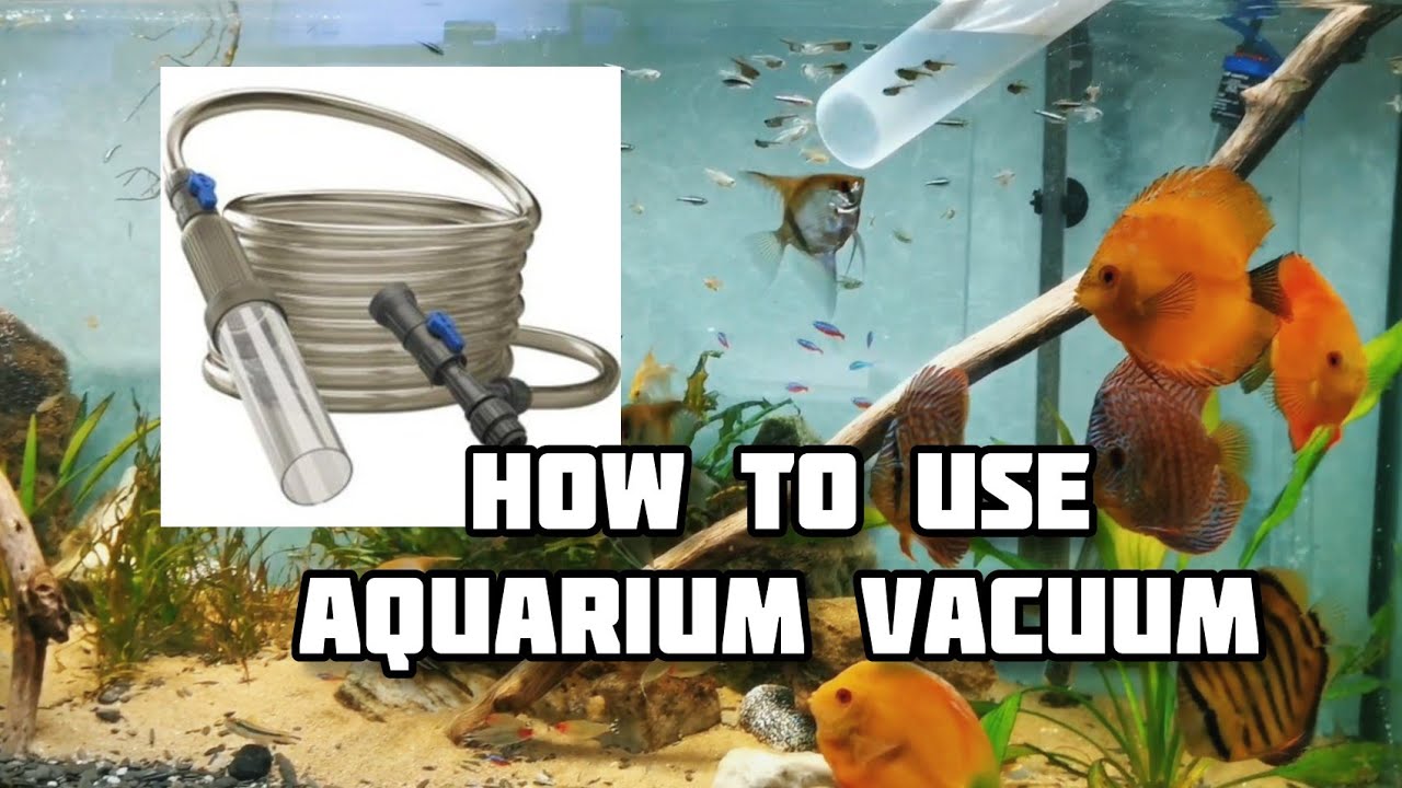 Как пользоваться аквариумным пылесосом / PRO TIPS Syphon Water Changer
