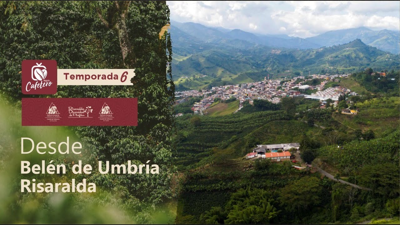 Magazin Cafetero Temporada 6 Capítulo 31 - Belén de Umbría Risaralda