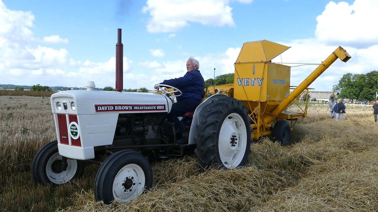 David Brown 880 Selectamatic Treshing Barley in a Big Field | Old Timer Harvest | Danish Agriculture