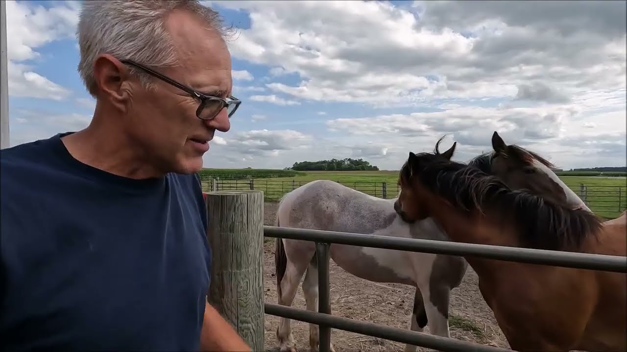 Horse Update August 2024
