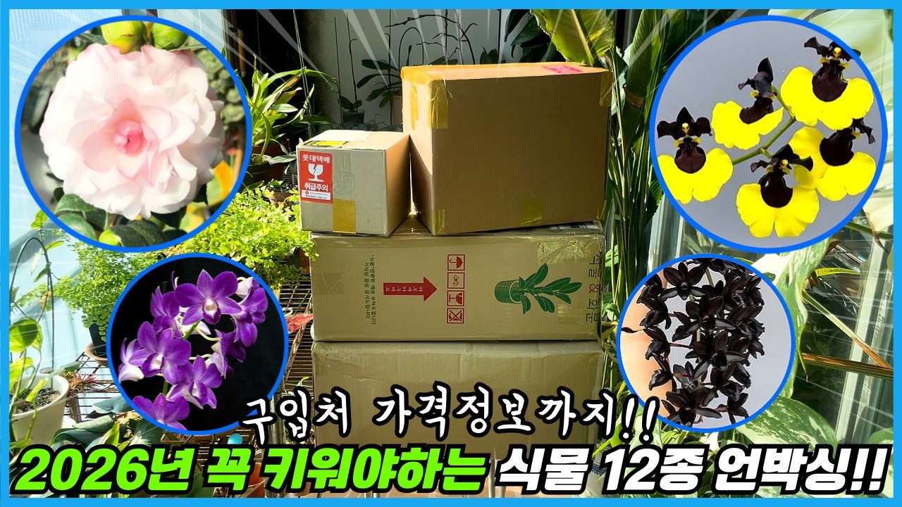 2026년 첫 식물 언박싱!! 올 해 꼭 키워야 할 대박 식물 12종!! (오류로 인한 재업)