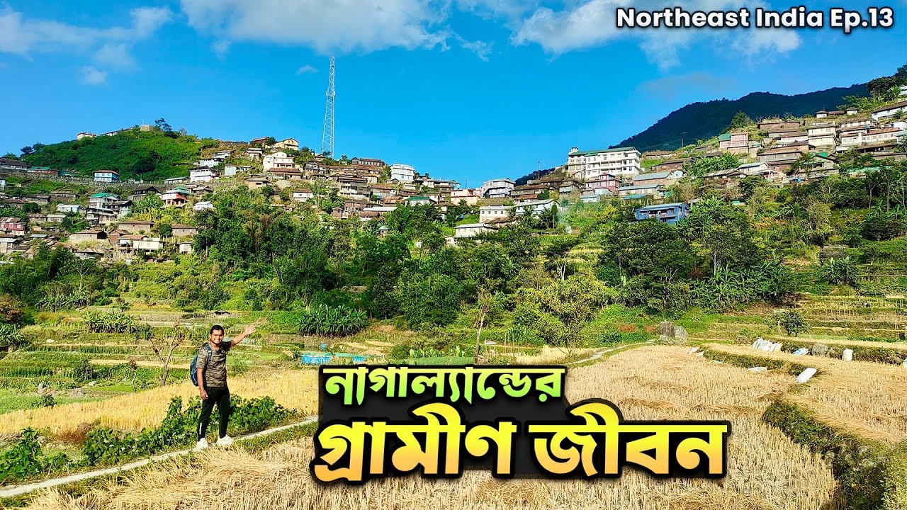 নাগাল্যান্ডের গ্রামীণ জীবন কেমন হয় । কোহিমায় ২য় বিশ্বযুদ্ধের স্মৃতি । Village Life at Khonoma