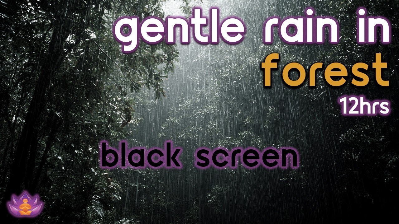 [Black Screen] Relax in the Woods | Gentle Rain in Forest &ndash; No Thunder | Nature Rain Sounds