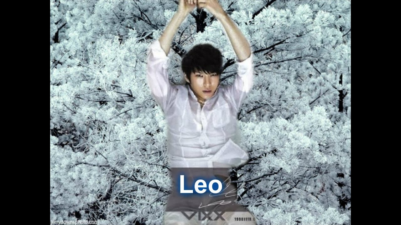 VIXX- All About Leo