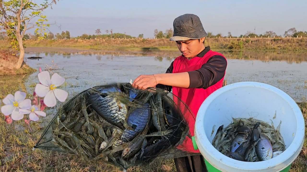 ใส่ตุ้มค้างคืน ทั้งกุ้งฝอยทั้งปลาบู่เข้าทุกหลัง หมานสุดๆ12/2/2569