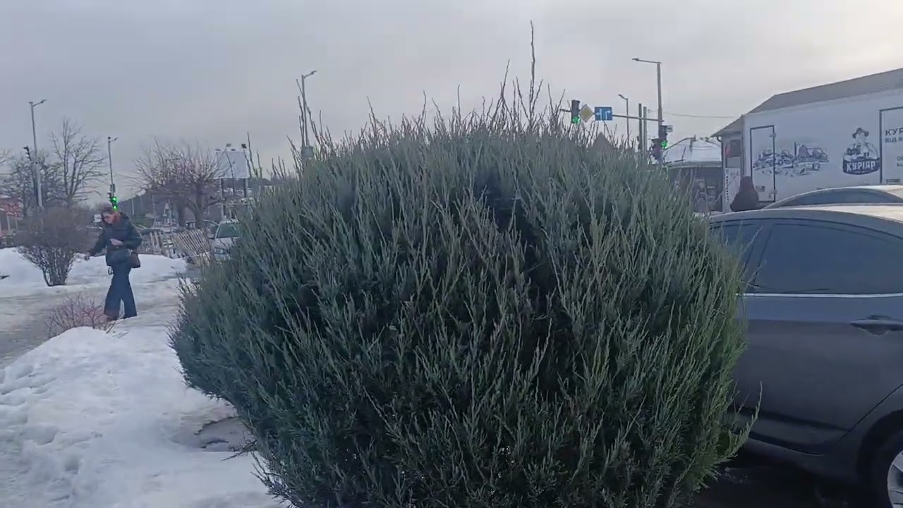 13 февраля 2026 г.
