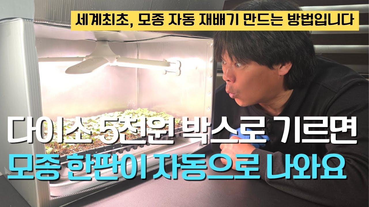 172. 5천원짜리 다이소 박스로 자동 모종 재배기 만드는 쉬운 방법입니다