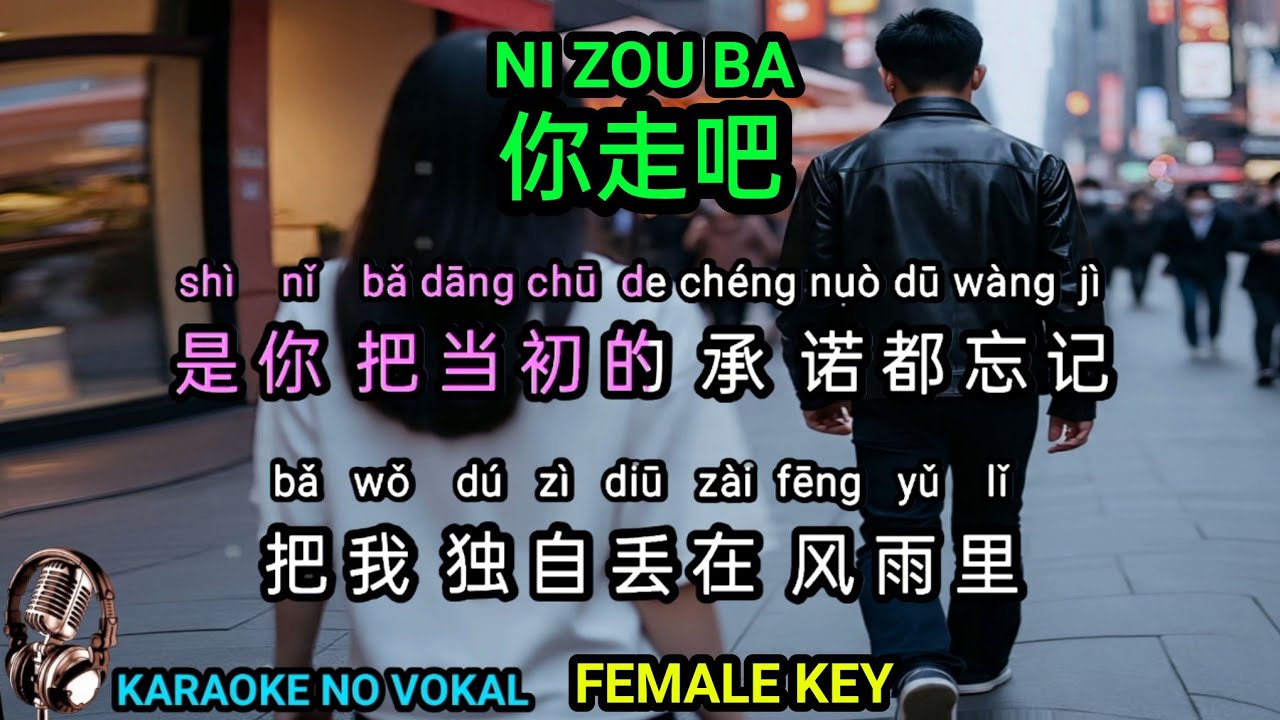 Ni zou ba 你走吧 - female - karaoke no vokal ( Huang Jia Jia )  中文 - PINYIN