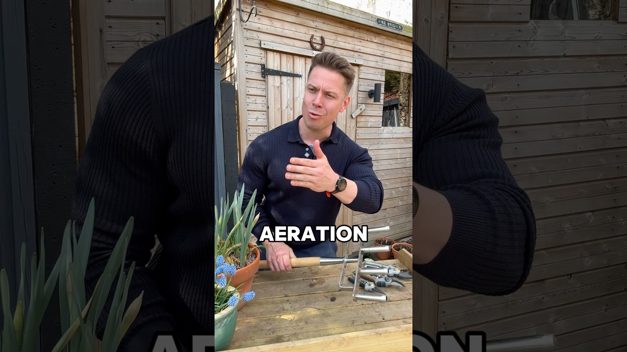 #уходзагазоном #садоводство #аэрация