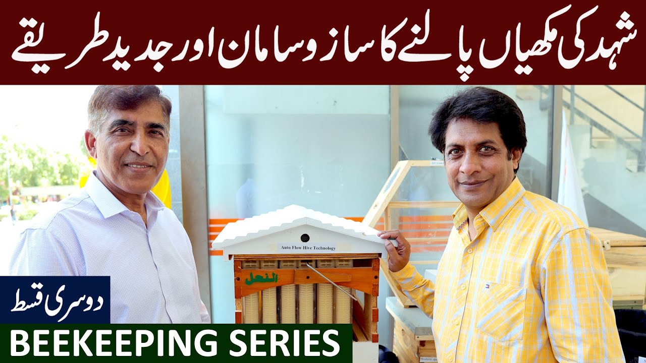 Beekeeping Equipment | Apiculture methods | EP#2